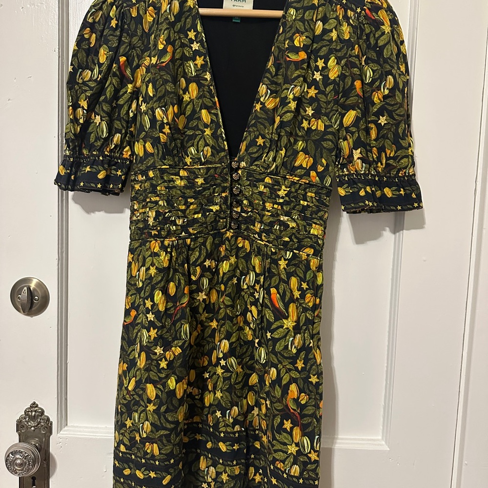 Farm Rio Starfruit Mini Dress – XS